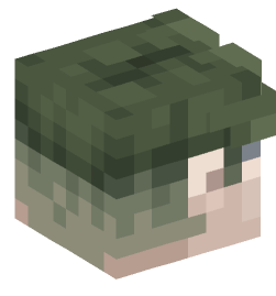 Minecraft head — People