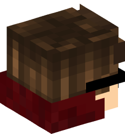 Minecraft head — People