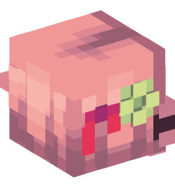 Minecraft head — People