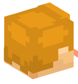 Minecraft head — People