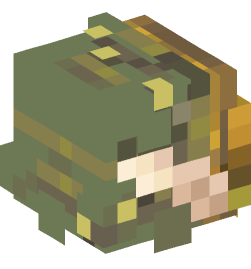 Minecraft head — Creatures