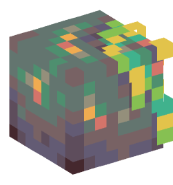 Minecraft head — Decor