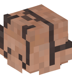 Minecraft head — Decor