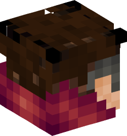 Minecraft head — People