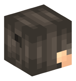 Minecraft head — People