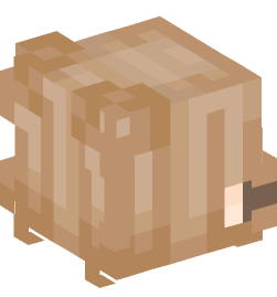 Minecraft head — People