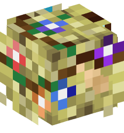 Minecraft head — People