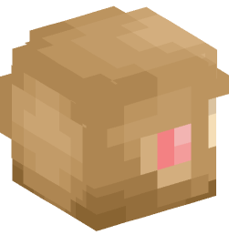 Minecraft head — Miscellaneous