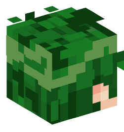 Minecraft head — People