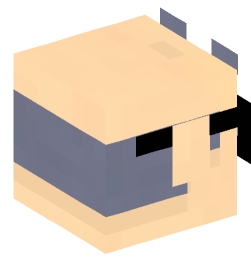 Minecraft head — People