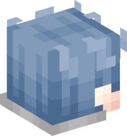 Minecraft head — People