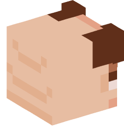 Minecraft head — Animals