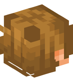 Minecraft head — People