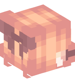 Minecraft head — People