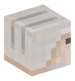 Minecraft head — Monsters