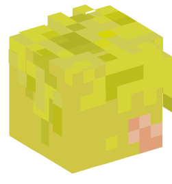 Minecraft head — People