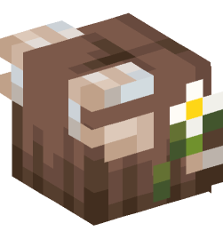 Minecraft head — People