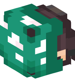 Minecraft head — People