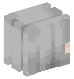 Minecraft head — People