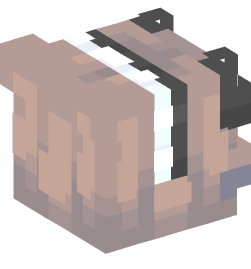 Minecraft head — People