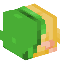 Minecraft head — Creatures