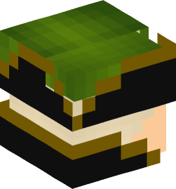 Minecraft head — People