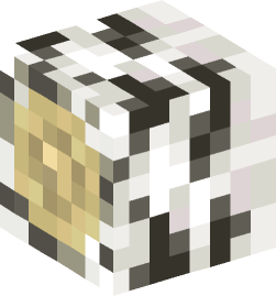 Minecraft head — Blocks