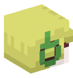 Minecraft head — People