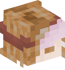 Minecraft head — People