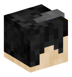 Minecraft head — People