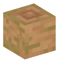 Minecraft head — Blocks