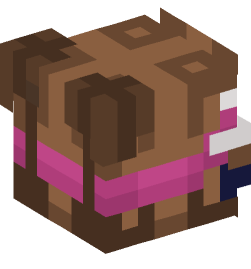 Minecraft head — People