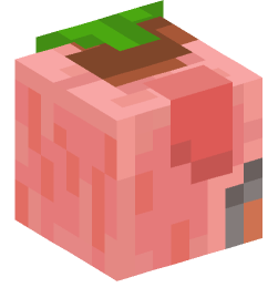 Minecraft head — People