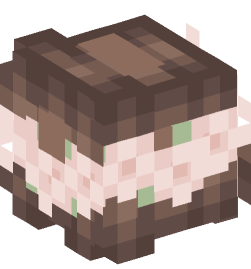 Minecraft head — People