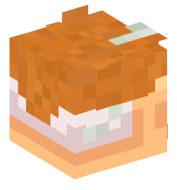 Minecraft head — People