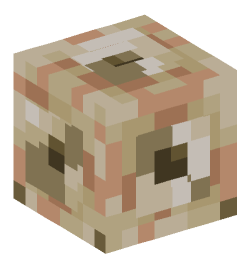 Minecraft head — Decor