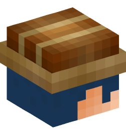 Minecraft head — People