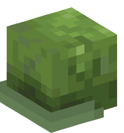 Minecraft head — Creatures