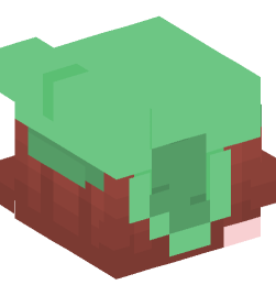 Minecraft head — People