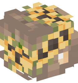 Minecraft head — People