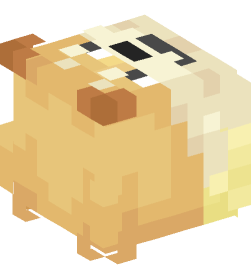 Minecraft head — People