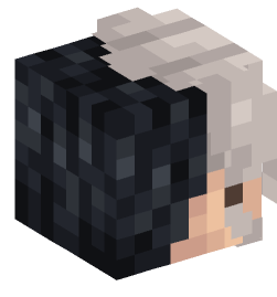 Minecraft head — People