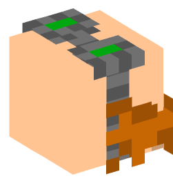 Minecraft head — People