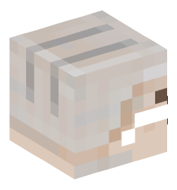 Minecraft head — Creatures