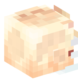 Minecraft head — People