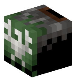 Minecraft head — Decor