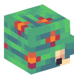 Minecraft head — People