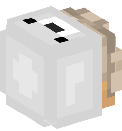 Minecraft head — People