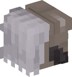 Minecraft head — People