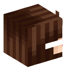 Minecraft head — People